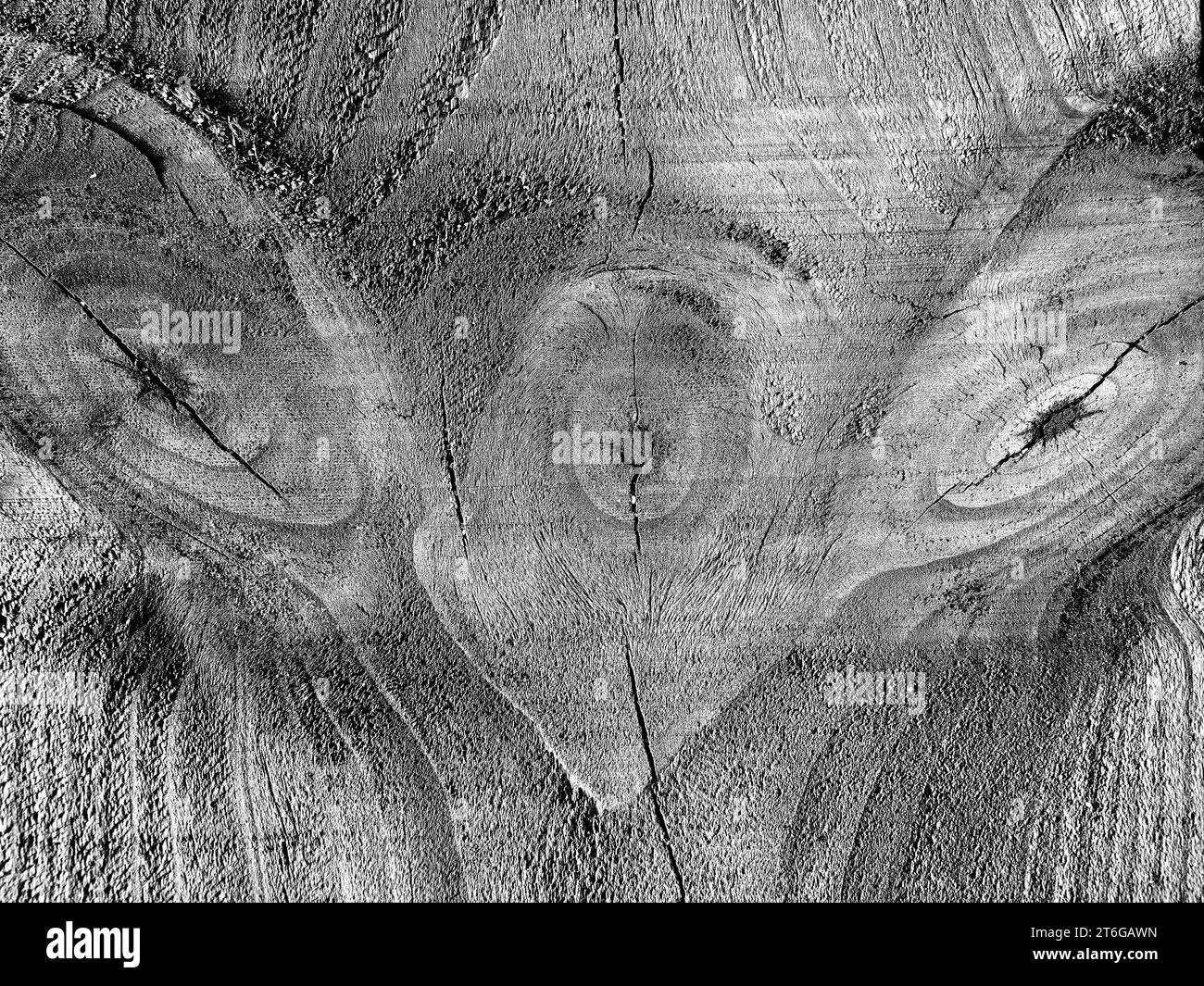 Pareidolia d'un visage reconnaissable sur bois. Banque D'Images