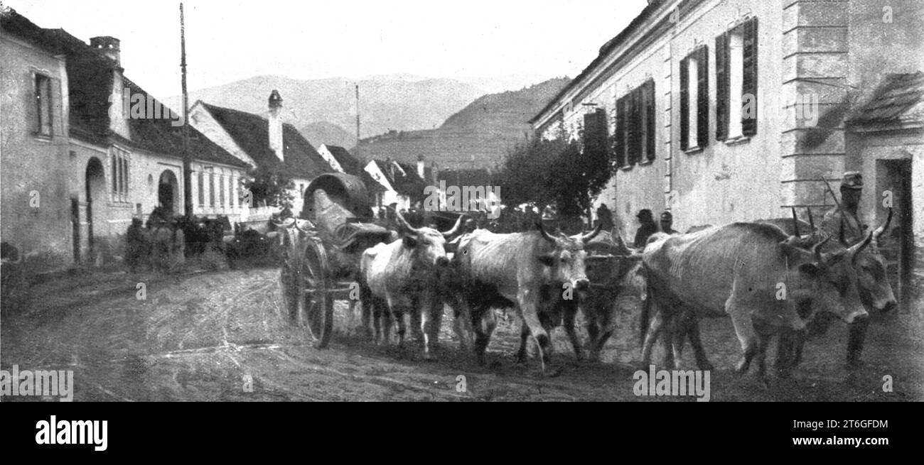 'La Roumanie Envahie ; pendentif la retraite : un canon francais de 120 long, attele de trois paires de boeufs, traverse un village au pied des Alpes de Transylvanie', 1916. Extrait de "l'Album de la Guerre 1914-1919, Volume 1" [l'Illustration, Paris, 1924]. Banque D'Images