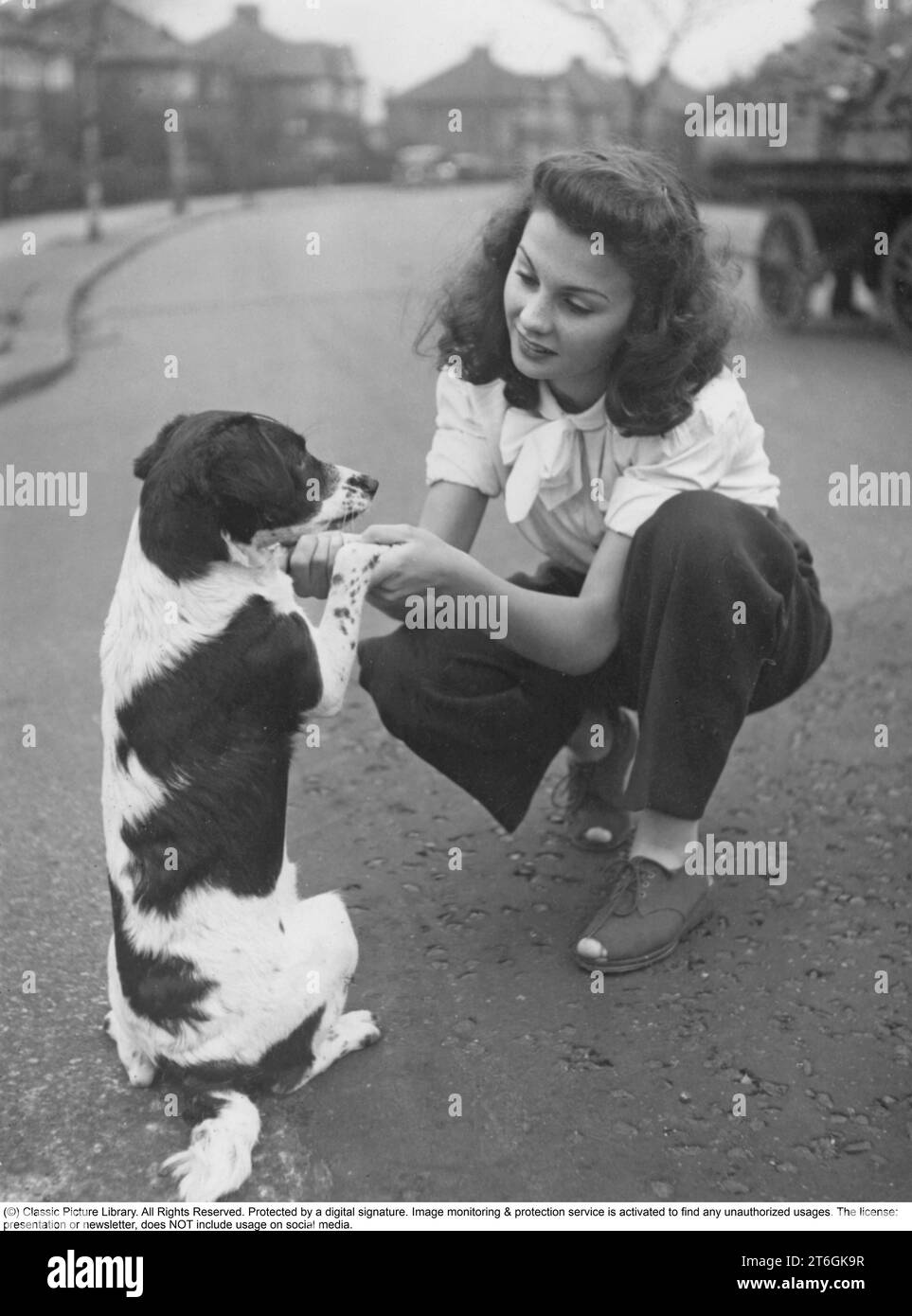 Jean Simmons. Actrice et chanteuse britannique. Né le 31 janvier 1929, décédé le 22 janvier 2010. Elle joue principalement dans des rôles au cinéma, d'abord en Grande-Bretagne pendant et après la Seconde Guerre mondiale. À 14 ans, elle a connu sa grande percée dans le film Great Expectations en 1946. La photo a été prise en Angleterre en 1945 et publiée dans le magazine Filmjournalen n°5 en 1946 dans l'article intitulé London's Pretiest girl. C’est la photographe Kristoffersson qui a rendu visite à Jean, alors âgée de 16 ans, où elle vit au 120 Cheviot Garden, Hendon Way, Londres NW 12. Son oncle la puissante compagnie de cinéma dir Banque D'Images