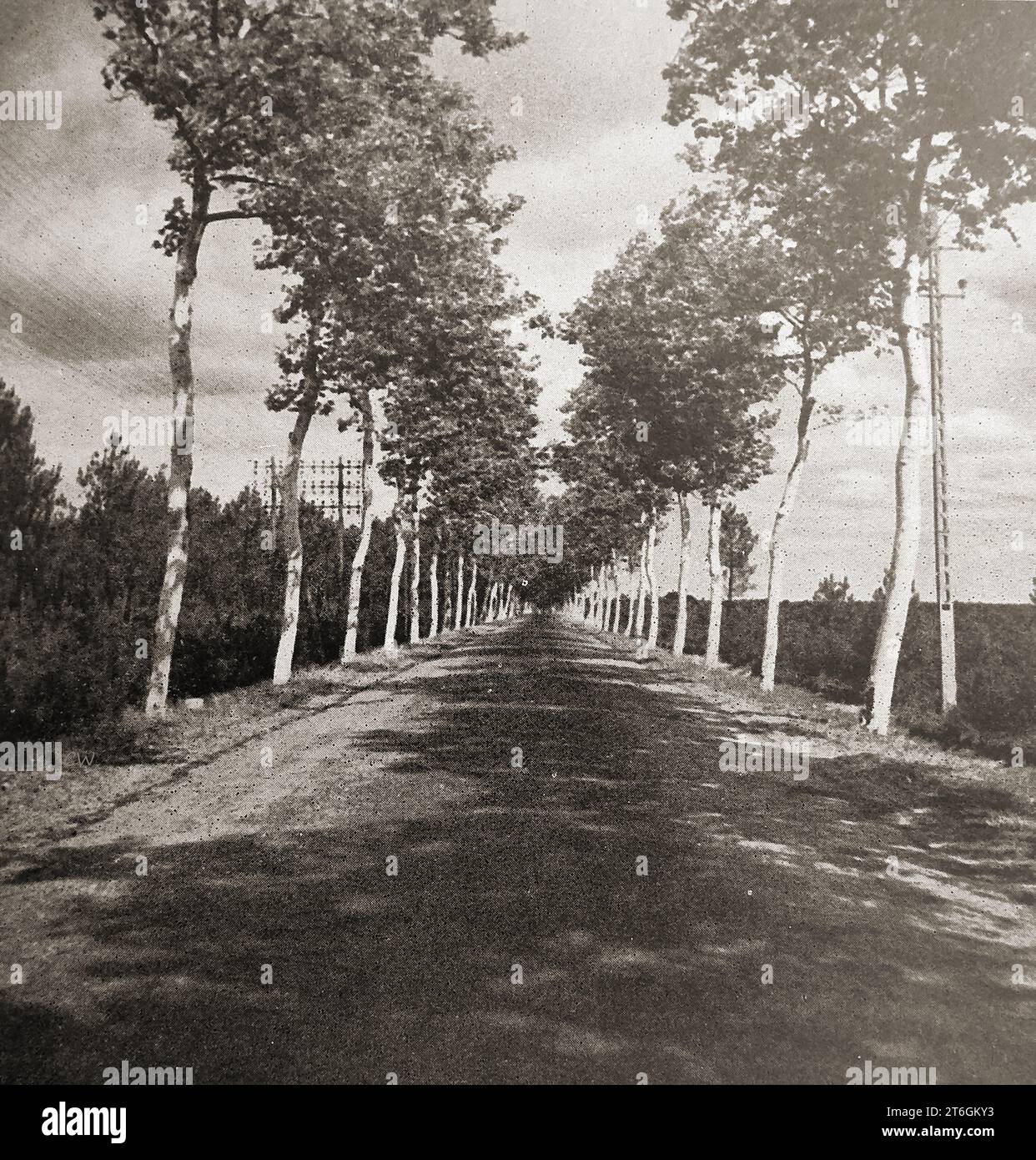 France 1939 - vue sur la route nationale. Les routes nationales remontent au 16 décembre 1811, lorsque Napoléon désigna un certain nombre de routes principales (routes impériales ou autoroutes impériales) - France 1939 - une vue de la route nationale. Les routes nationales remontent au 16 décembre 1811, date à laquelle Napoléon désigna un certain nombre de routes principales. Banque D'Images