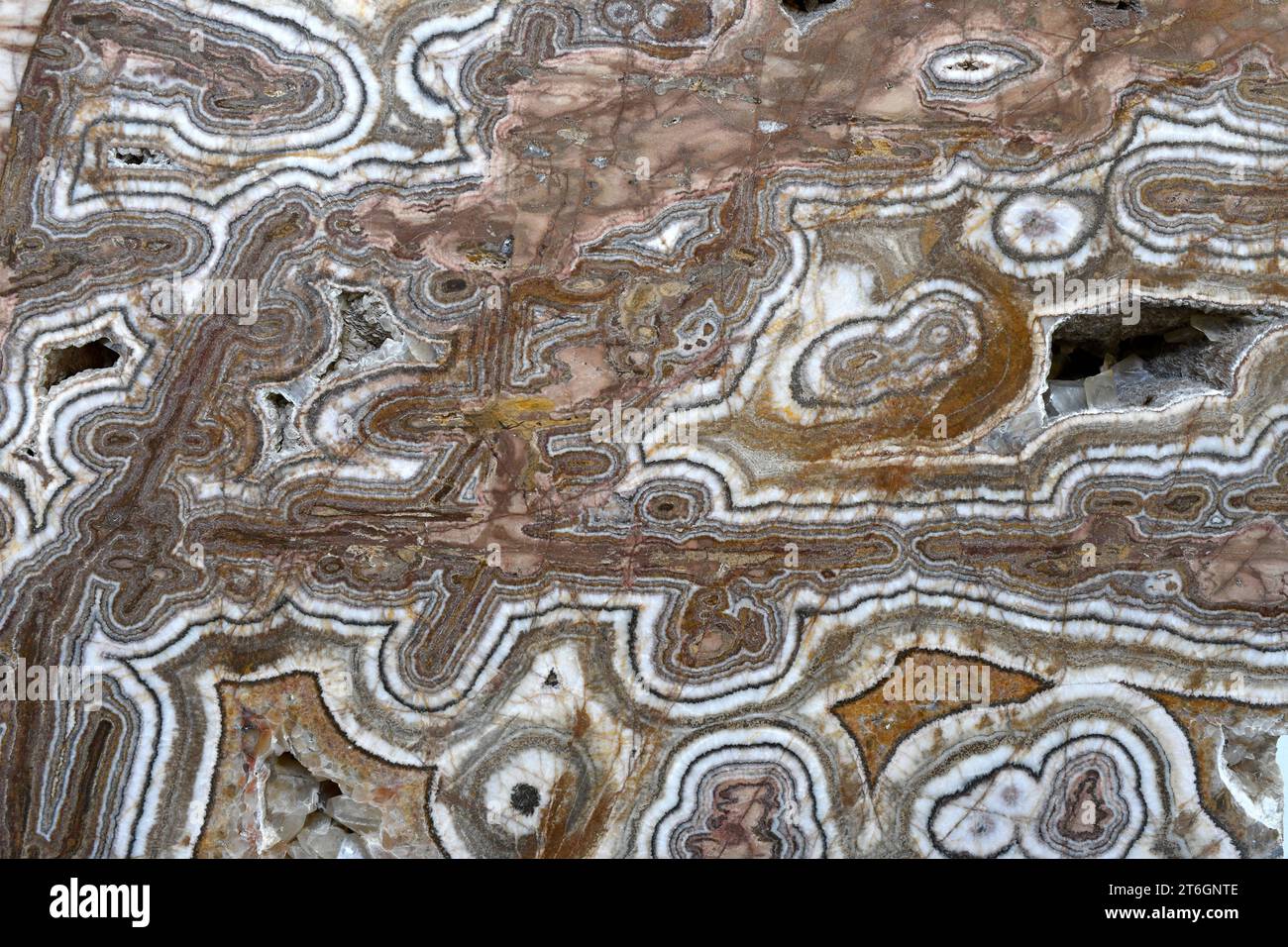 La dolomite est un minéral de carbonate de calcium et de magnésium. Section polonaise. Cette photo a été prise à Vila Viçosa, Portugal. Banque D'Images