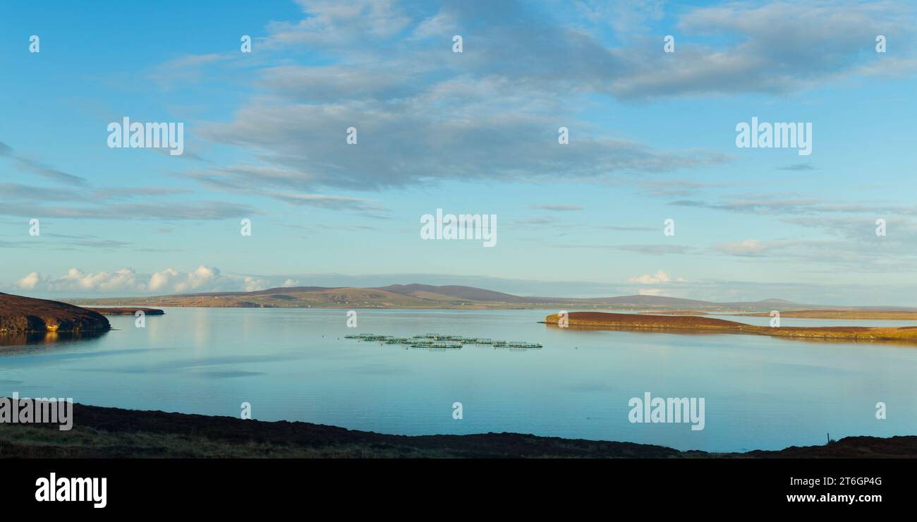 Élevage de saumons dans la baie Pegal, Orcades Banque D'Images