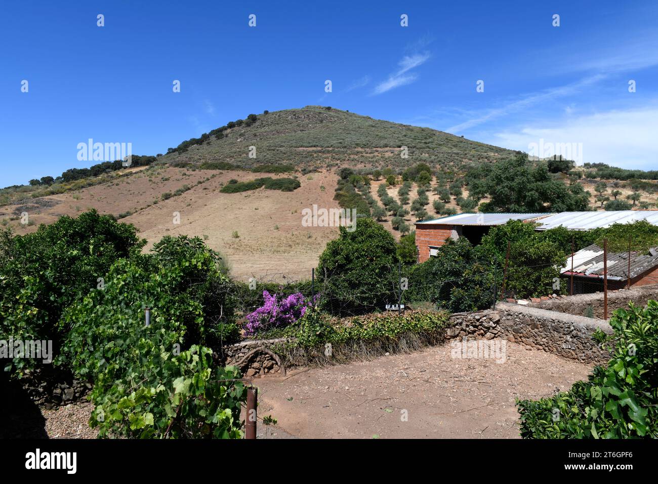 Batholite (dôme en granit). Cette photo a été prise à Cerro de San Cristobal, Logrosan, Caceres, Estrémadure, Espagne. Banque D'Images