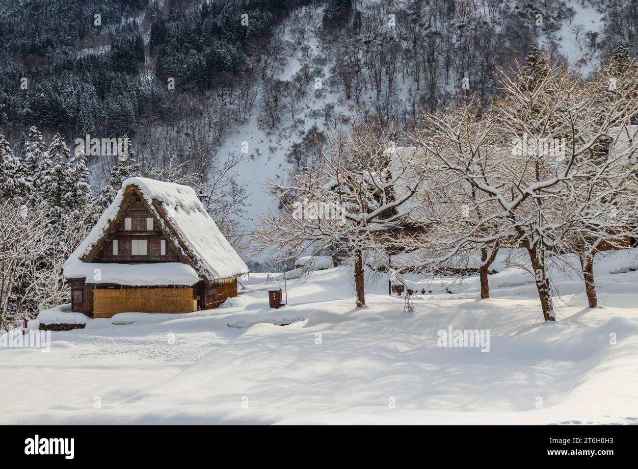 L'hiver enneigé à Shirakawago, préfecture de Gifu, Japon, site du patrimoine mondial de l'UNESCO, célèbre pour leurs fermes de style gassho-zukuri. Banque D'Images