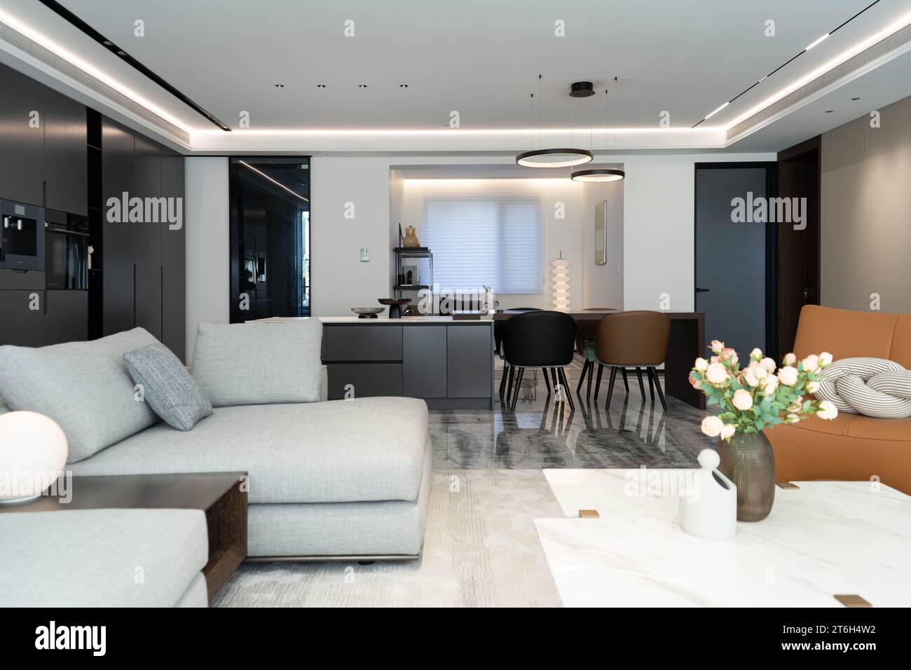 L'essence du décor intérieur moderne Banque D'Images