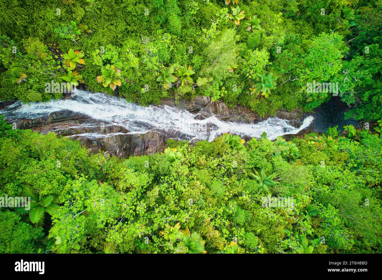 Photographie de drone oeil d'oiseau de Sauzier waterfal, entouré par une forêt luxuriante, Mahé Seychelles Banque D'Images