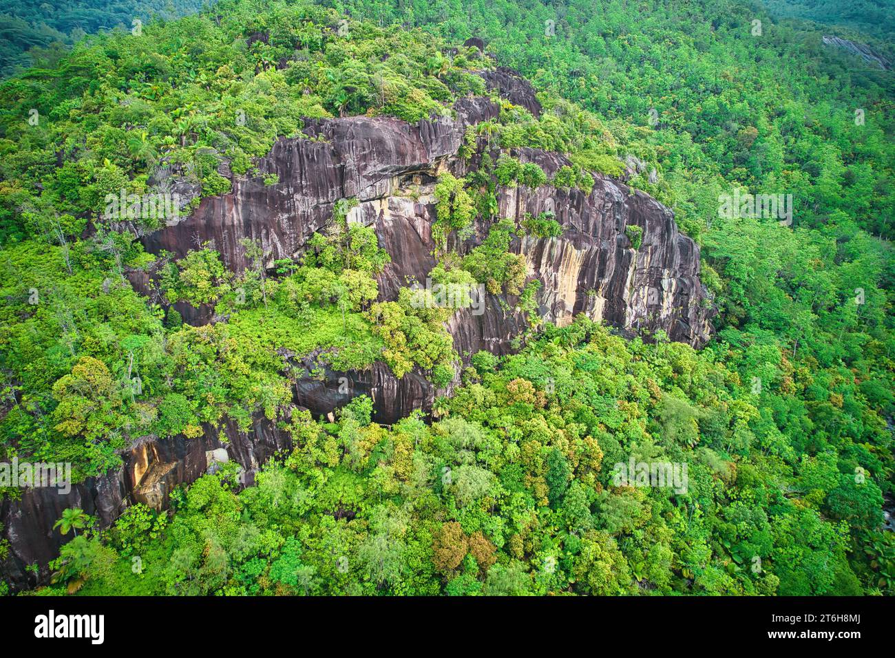 Photographie conduite de la forêt luxuriante du parc national, d'énormes pierres de granit , nature riche et vibrante, Mahé, Seychelles Banque D'Images