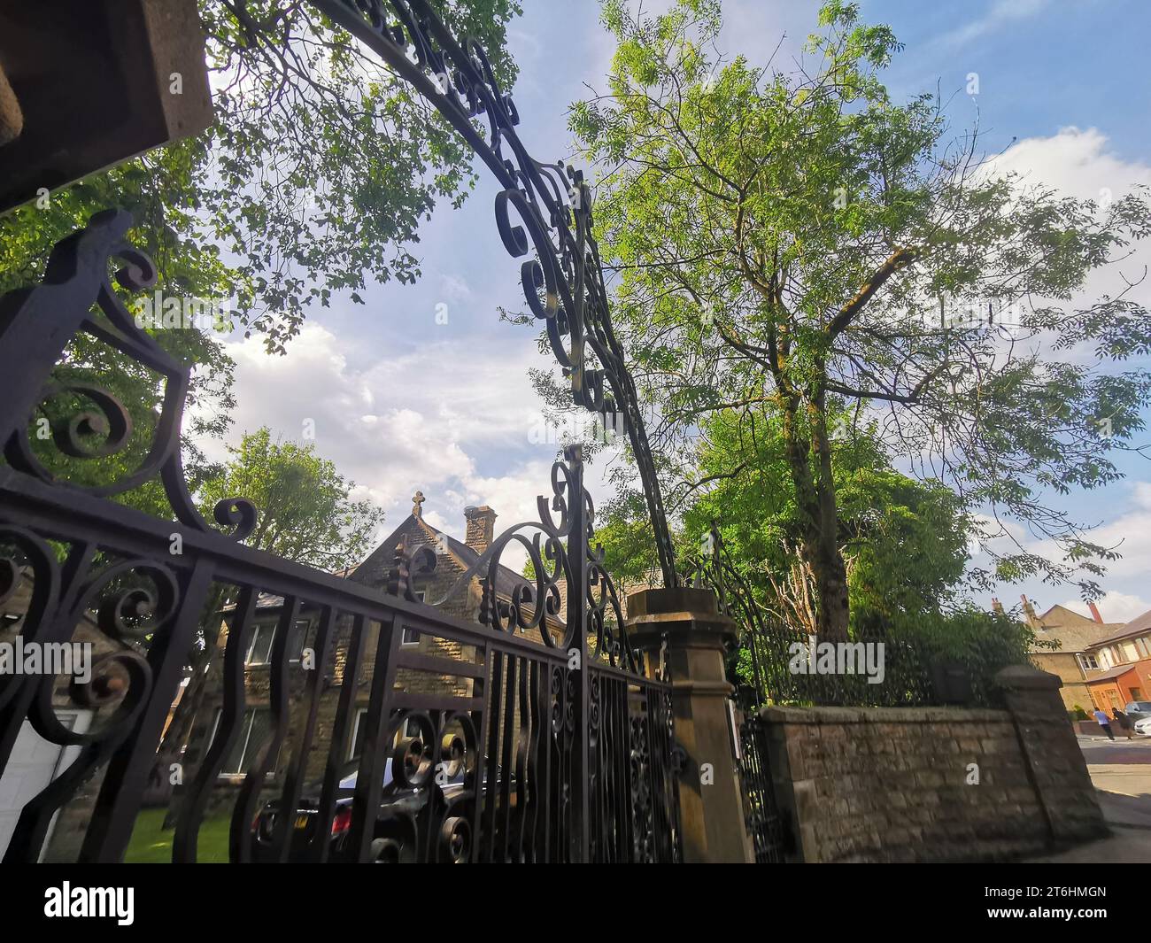 Un mâle adulte mature est perché sur une clôture en bois, regardant vers le haut pour apprécier la beauté du ciel Banque D'Images