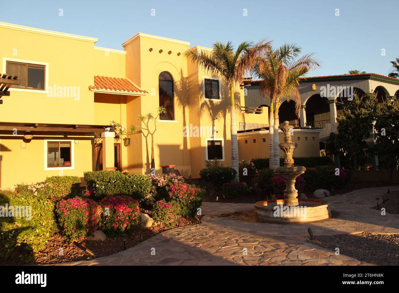 Un bel espace de jardin extérieur dans un hôtel, avec des pelouses bien entretenues et des compositions florales vibrantes Banque D'Images