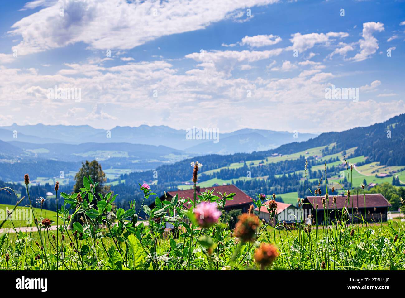 Allemagne, Bavière, Allgäu, Oberstaufen, vue sur les maisons et les Alpes Banque D'Images