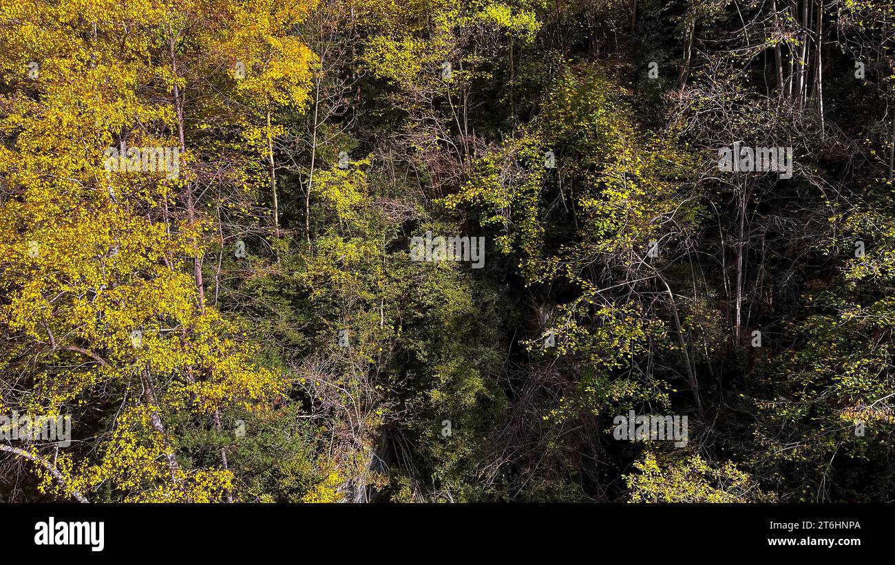 Paysage dans les Pyrénées dans la région de Canillo en Andorre en automne Banque D'Images