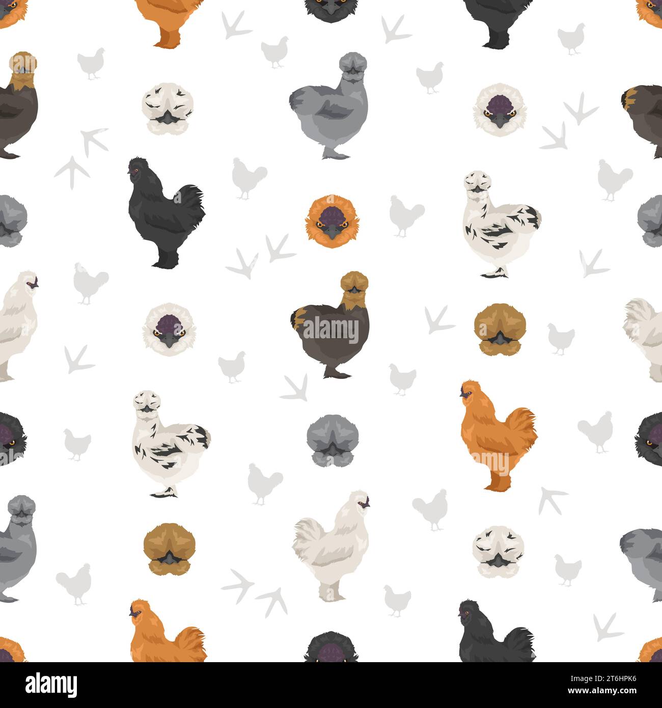 Silkie Chicken reproduit un motif sans couture. Volailles et animaux de ferme. Jeu de couleurs différentes. Illustration vectorielle Illustration de Vecteur