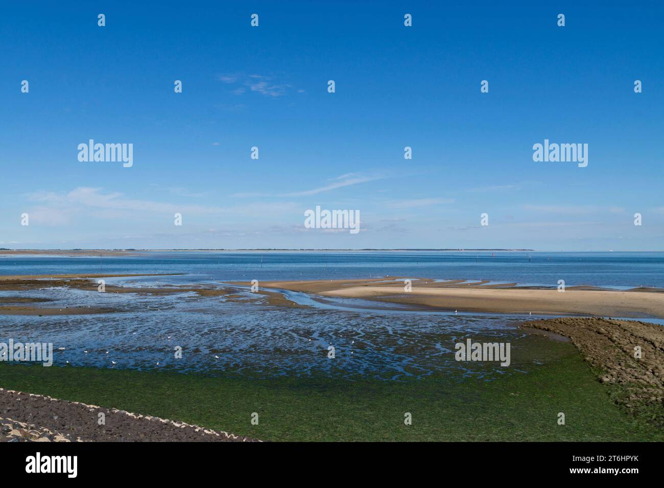 Vue de loin de la mer du Nord avec ciel bleu sur Amrum, Schleswig-Holstein, Allemagne Banque D'Images