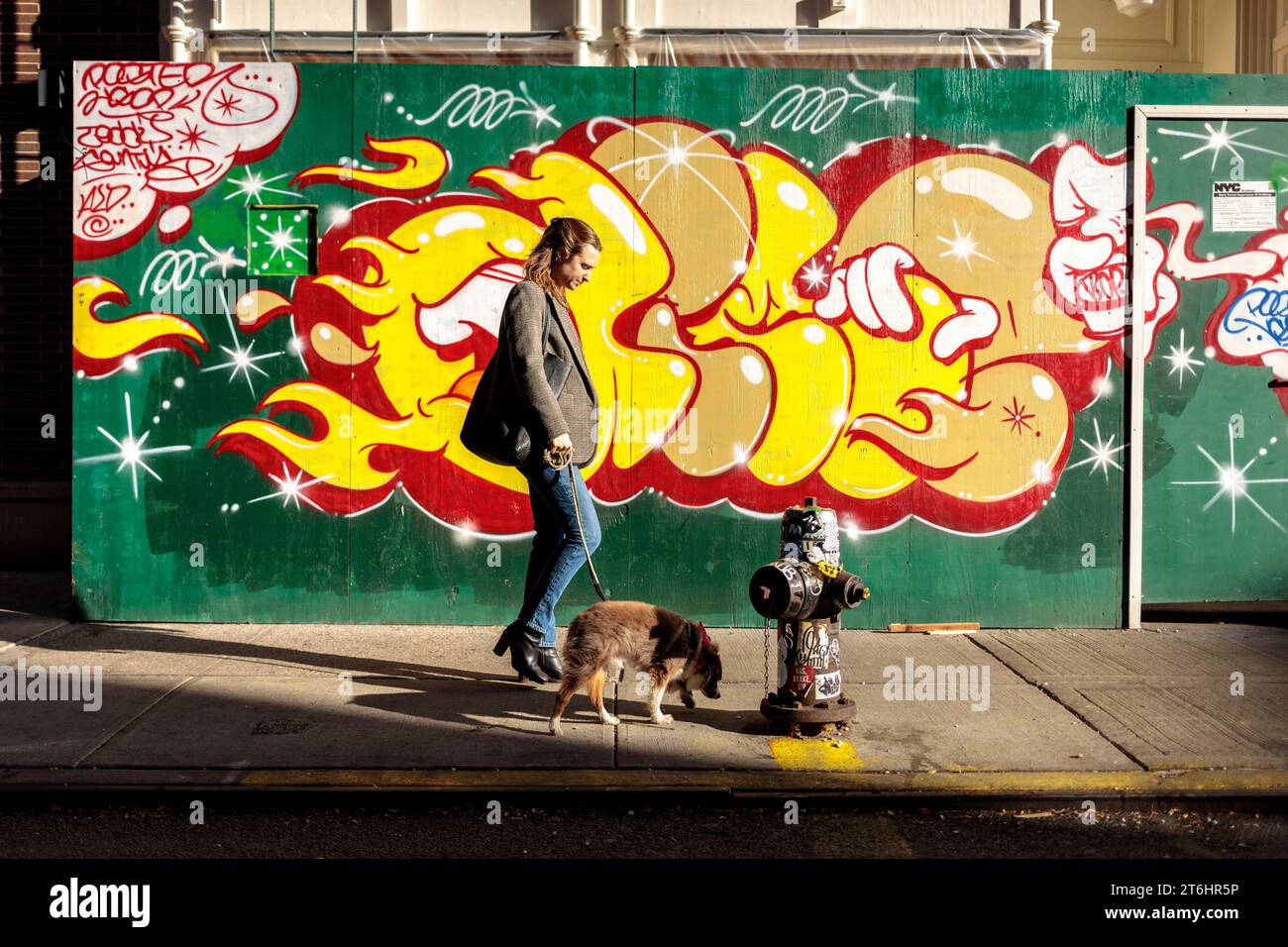Jeune femme marchant avec un chien, Greenwich Village, New York City, Amérique du Nord, États-Unis, ÉTATS-UNIS Banque D'Images