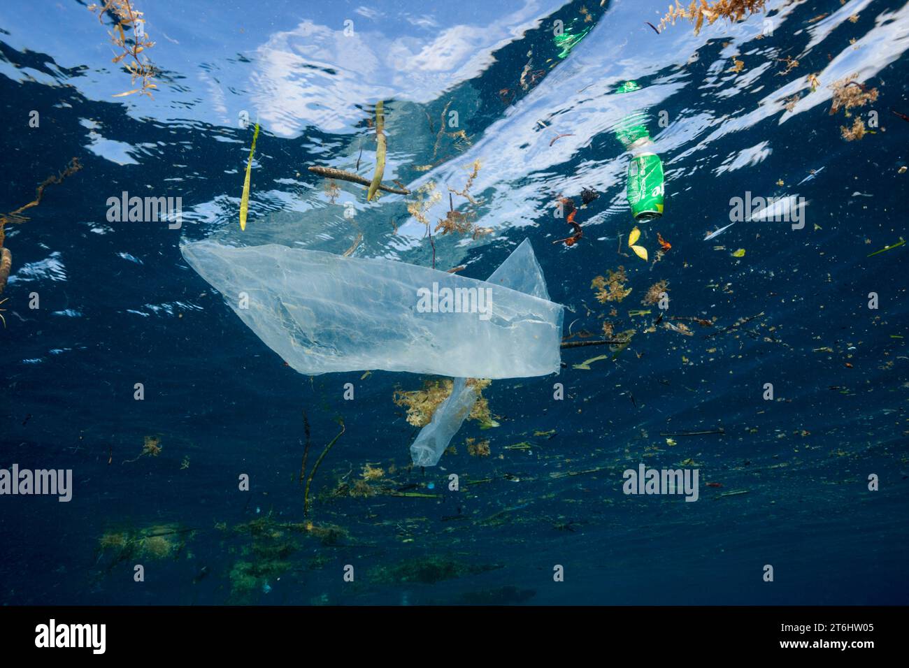 Déchets flottant dans l'océan, Raja Ampat, Papouasie occidentale, Indonésie Banque D'Images