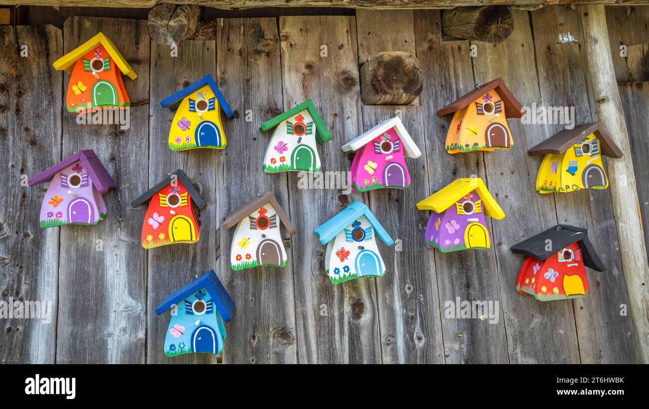 Boîtes à oiseaux décoratives colorées accrochées à un mur en bois Banque D'Images