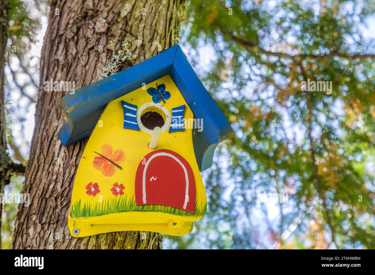 Boîte à oiseaux décorative colorée suspendue à un arbre Banque D'Images