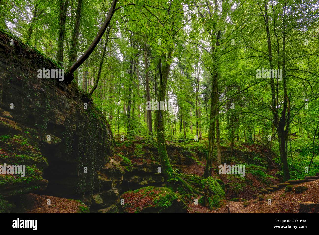 Église du diable de Grünsberg, gorge de grès rhétien, Altdorf, moyenne-Franconie, Franconie, Bavière, Allemagne Banque D'Images