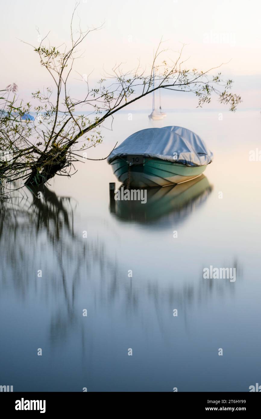 Matinée à Ammersee, Fünf-Seen-Land, Dießen, Landsberg County, haute-Bavière, Bavière, Allemagne, Europe Banque D'Images