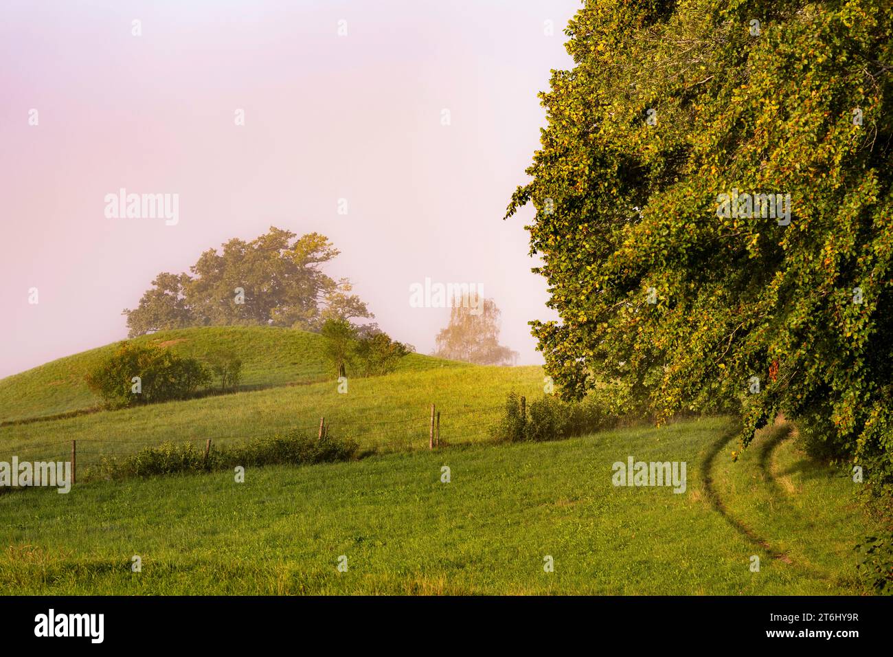Des ambiances brumeuses dans les cinq-Lacs-Land, Pähl, haute-Bavière, Bavière, Allemagne Banque D'Images