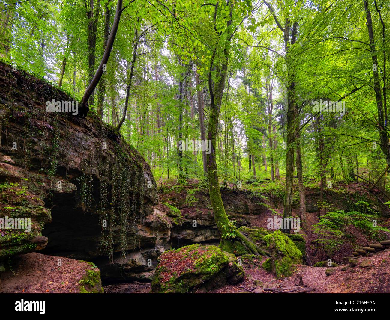 Église du diable de Grünsberg, gorge de grès rhétien, Altdorf, moyenne-Franconie, Franconie, Bavière, Allemagne Banque D'Images