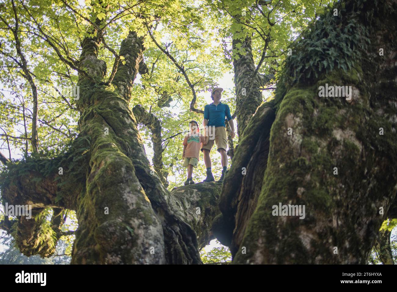 Visite en famille au Schwarzenberghütte, Hinterstein, Allgäu, Bavière, Allemagne Banque D'Images