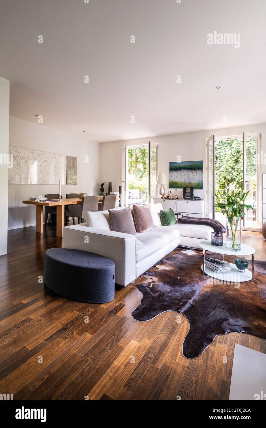 Appartement moderne, vue intérieure, salon - salle à manger, Banque D'Images