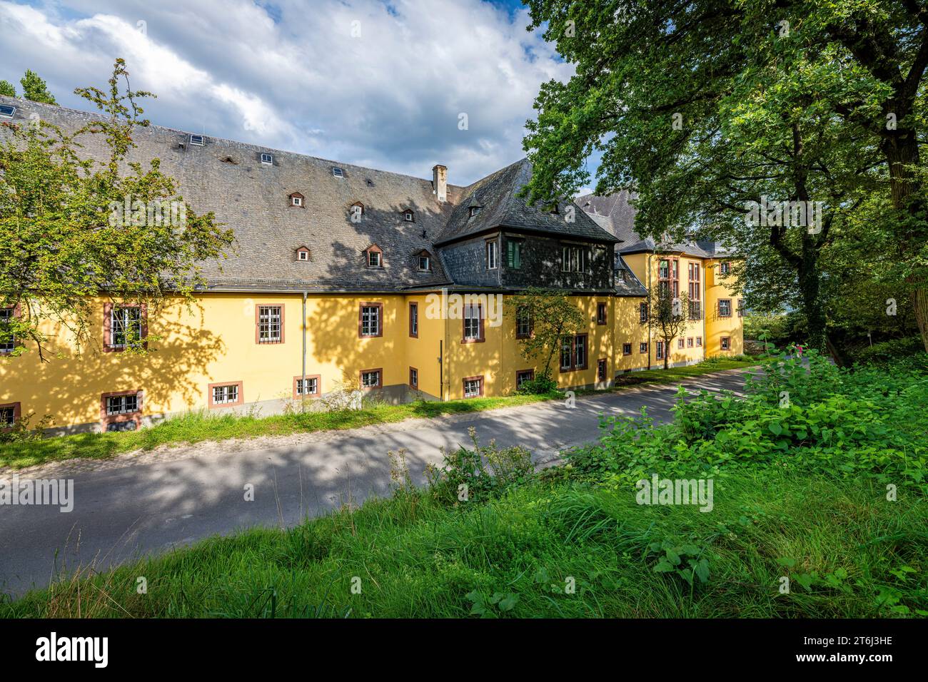 Schloss Vollrads dans le Rheingau, célèbre Prädikatsweingut, connu pour son haut Riesling, construit comme un château à douves au début, propriété familiale des comtes Matuschka-Greiffenclau, Banque D'Images