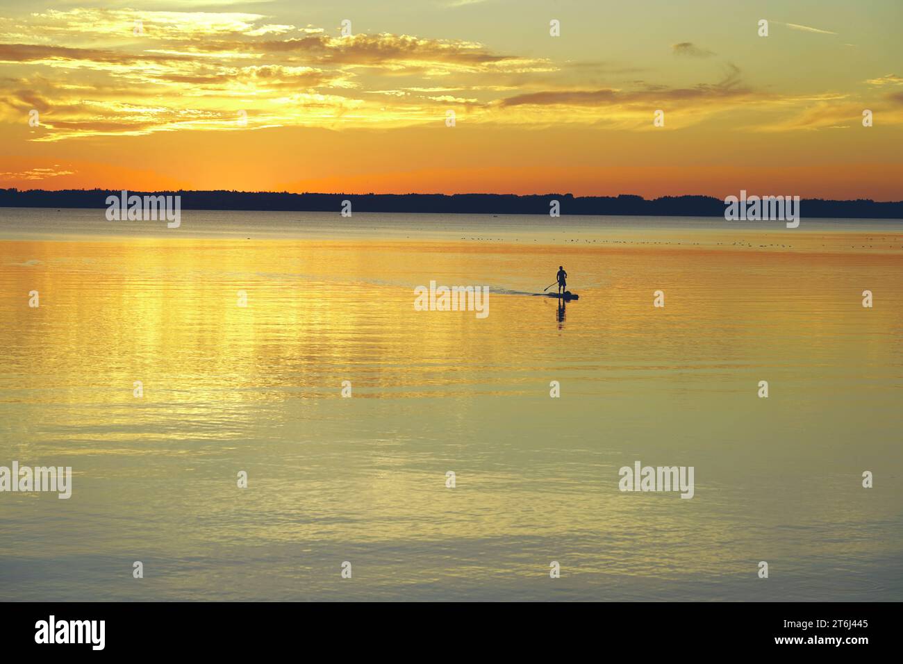 Allemagne, Bavière, haute-Bavière, Comté de Traunstein, Chieming, Chiemsee, coucher de soleil, stand-up paddler, silhouette Banque D'Images