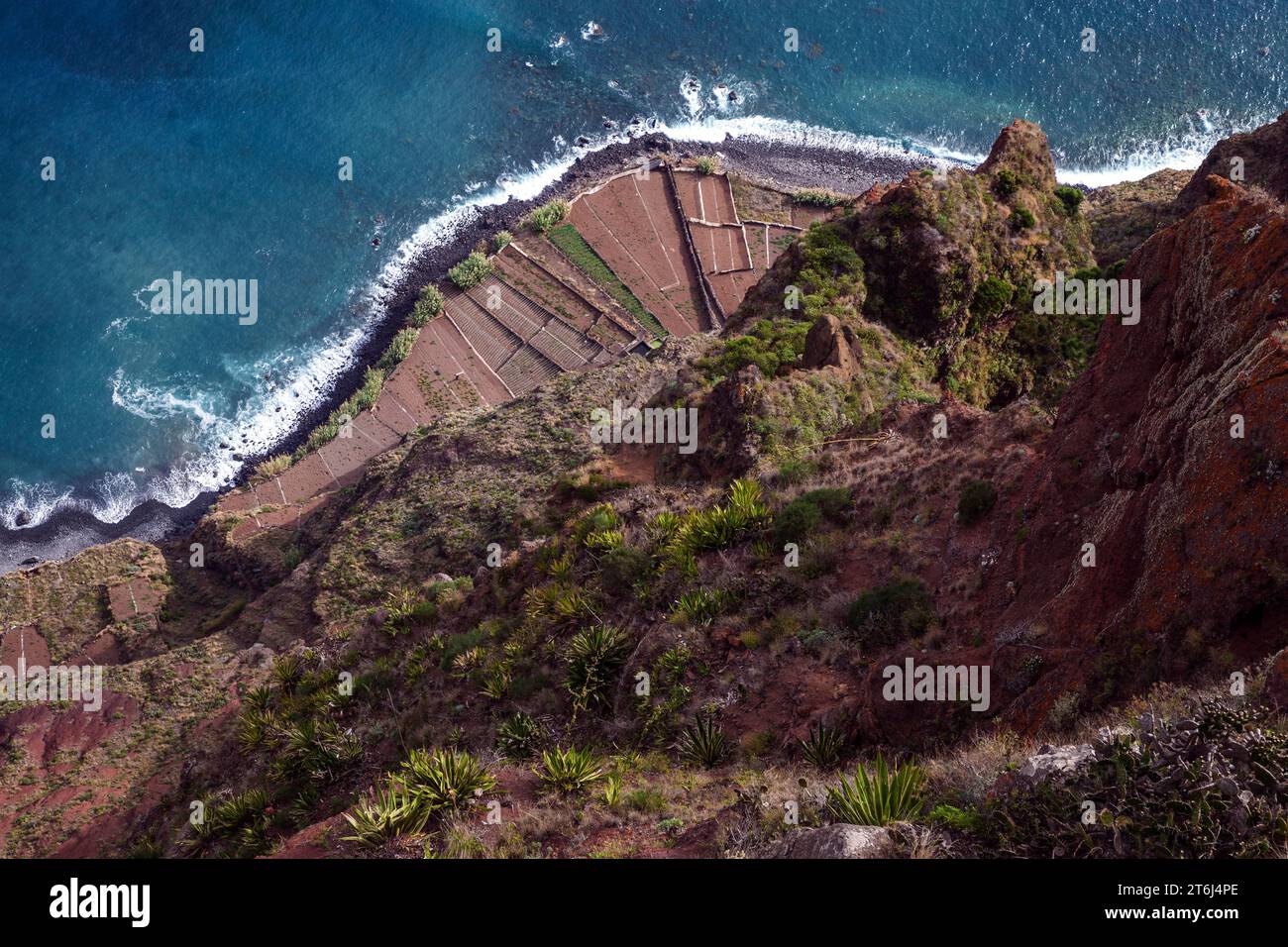 Vue depuis la passerelle à fond de verre, Cabo Girao, des champs en terrasses au bord de la mer, Camara de Lobos, île de Madère, Portugal Banque D'Images