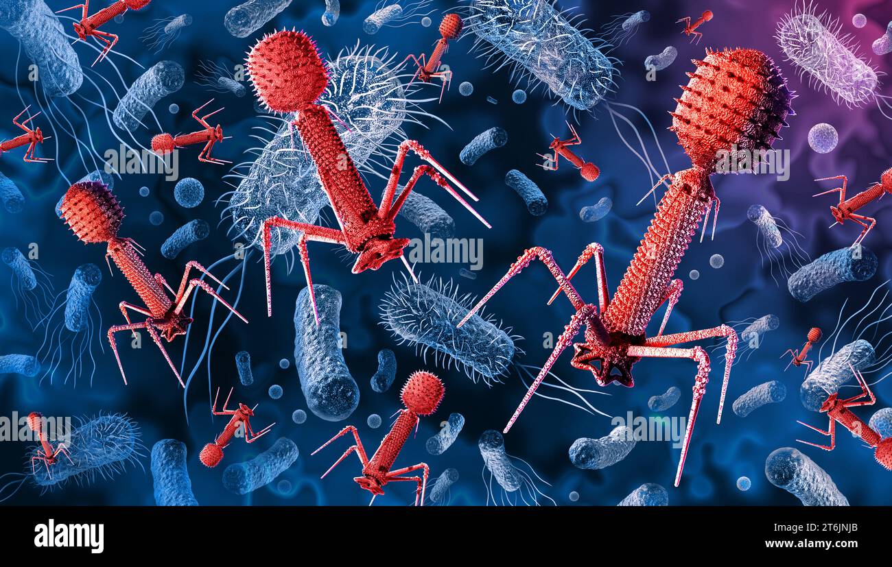 Phages et bactéries et bactériophage avec bactérie e-coli comme infection bactérienne étant attaqué par des bactériophages comme une pathologie ou virologie médicale Banque D'Images