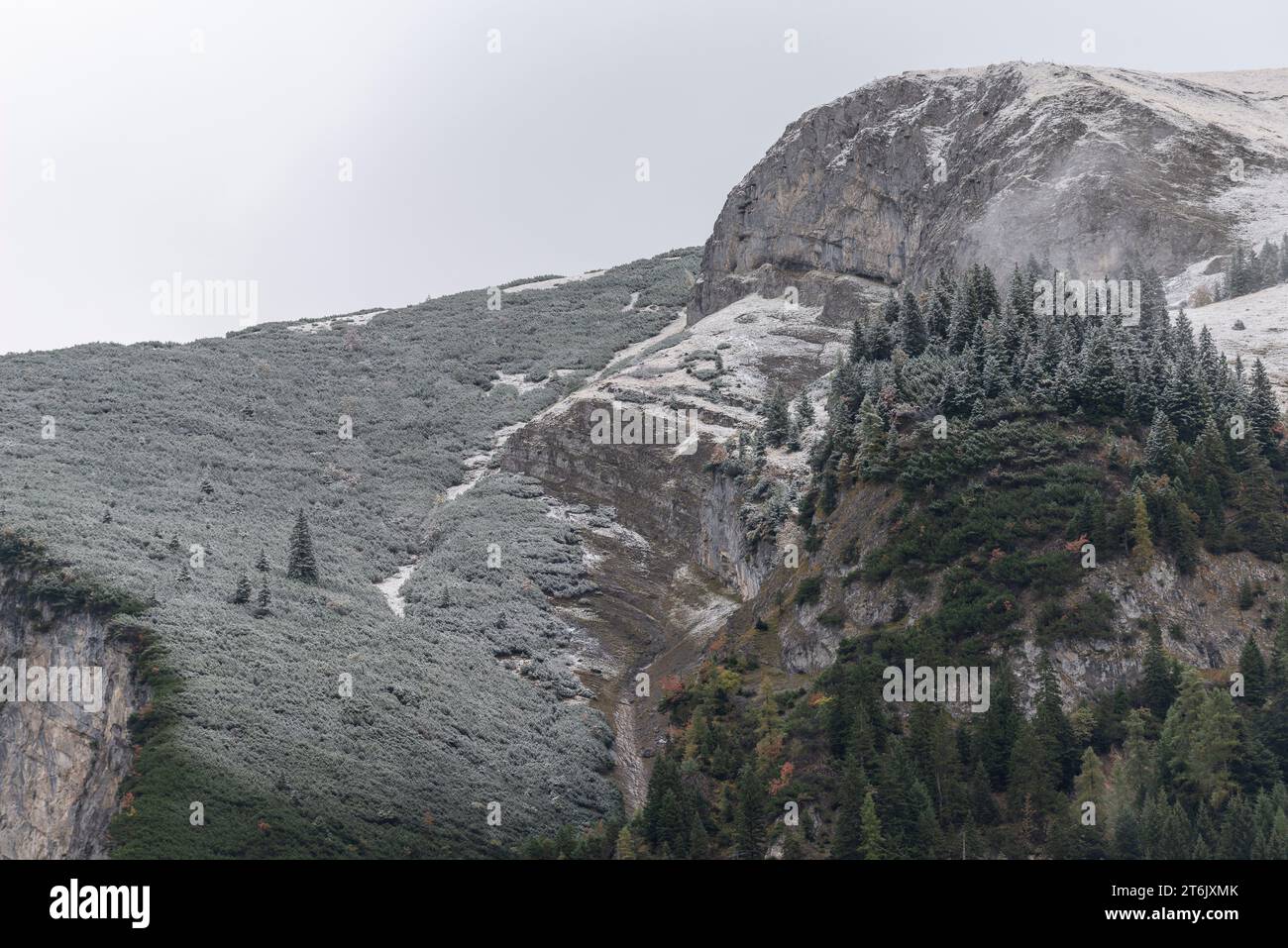 Une journée d'automne froide et brumeuse dans Engtal ou Eng Valley, Réserve naturelle Karwendel, montagnes Karwendel, Tyrol, Autriche, Europe Banque D'Images