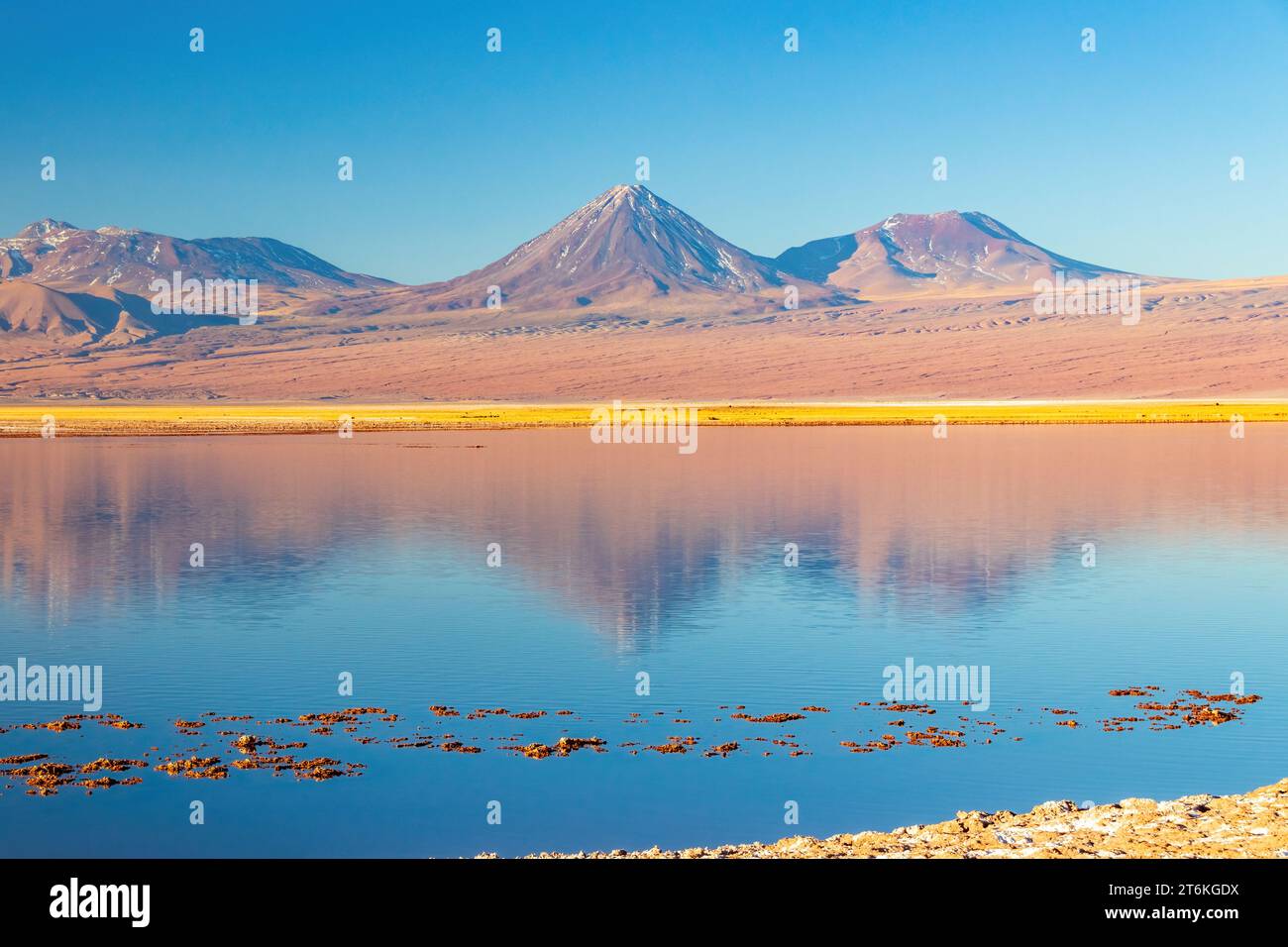 Volcan Licancabur vu à l'heure d'or de Laguna Tebinquinche dans le désert d'Atacama, au nord du Chili. Banque D'Images