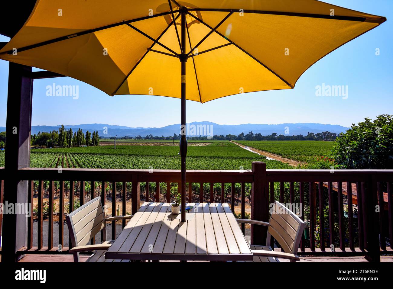 Table avec vue sur un magnifique vignoble un jour d'été - Napa Valley, Californie Banque D'Images