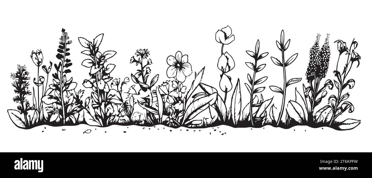 Bordure de champ de fleurs sauvages esquisse dessinée à la main dans le style doodle illustration vectorielle Illustration de Vecteur
