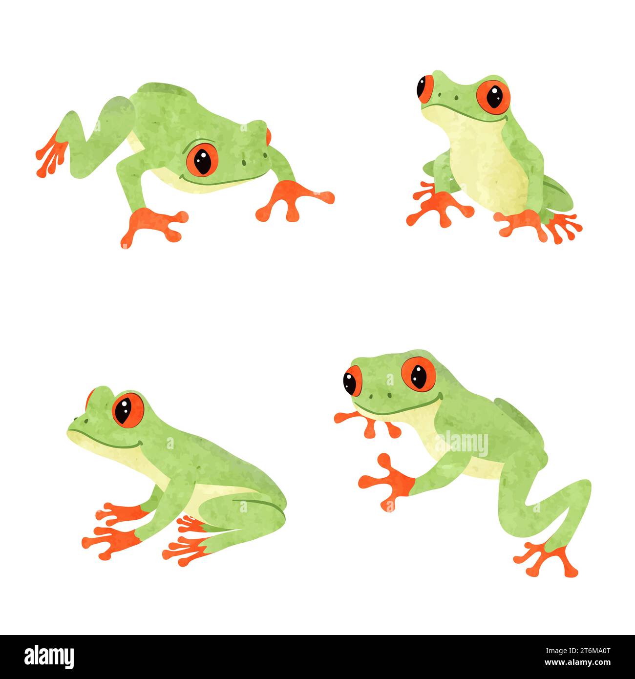 Ensemble mignon grenouilles d'arbre. Illustration vectorielle de grenouille aquarelle tropicale isolée sur blanc Illustration de Vecteur