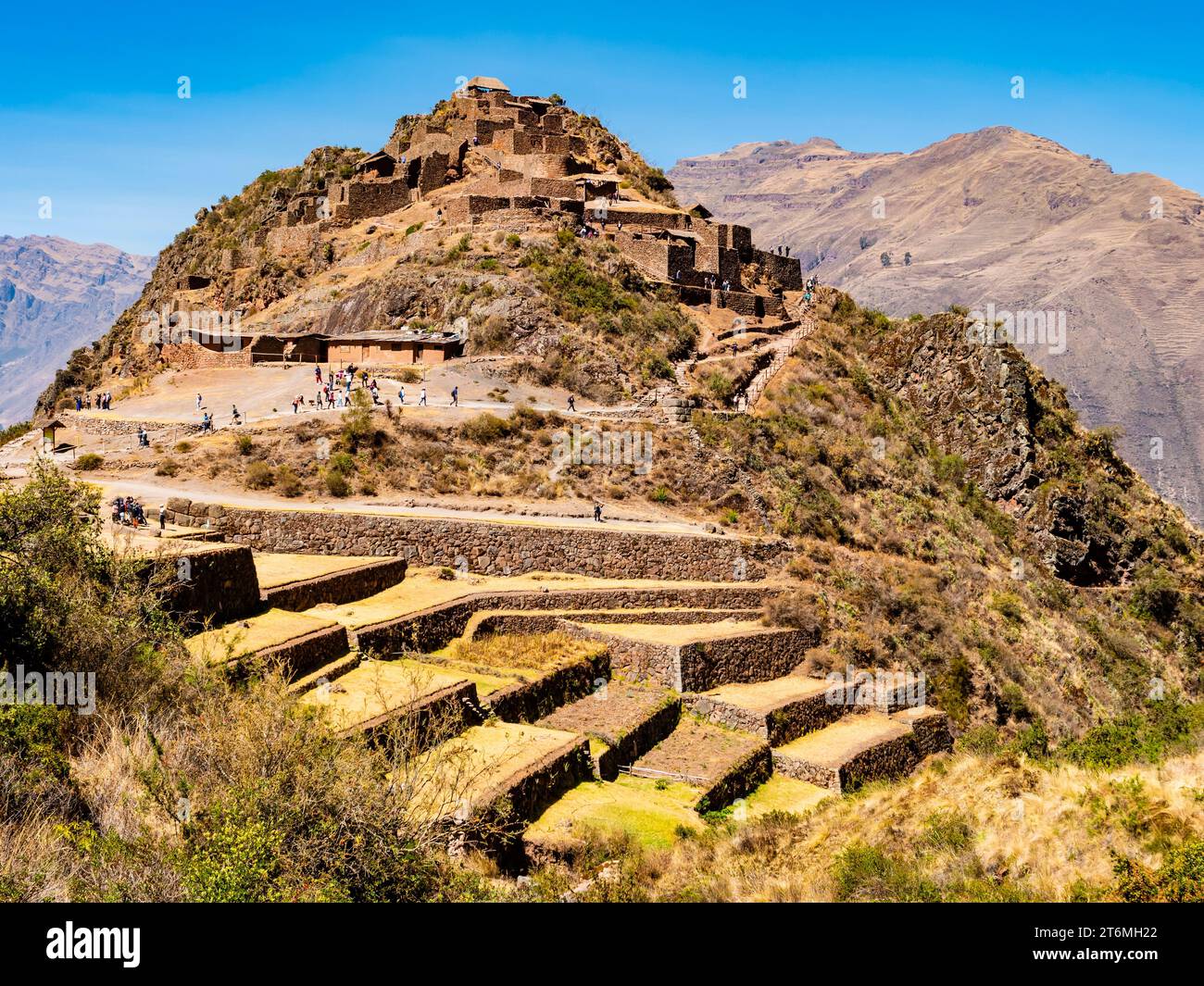 Vue imprenable sur le complexe archéologique de Pisac avec les ruines de la vieille ville et les champs agricoles en terrasses, vallée sacrée des Incas, région de Cusco, Pérou Banque D'Images