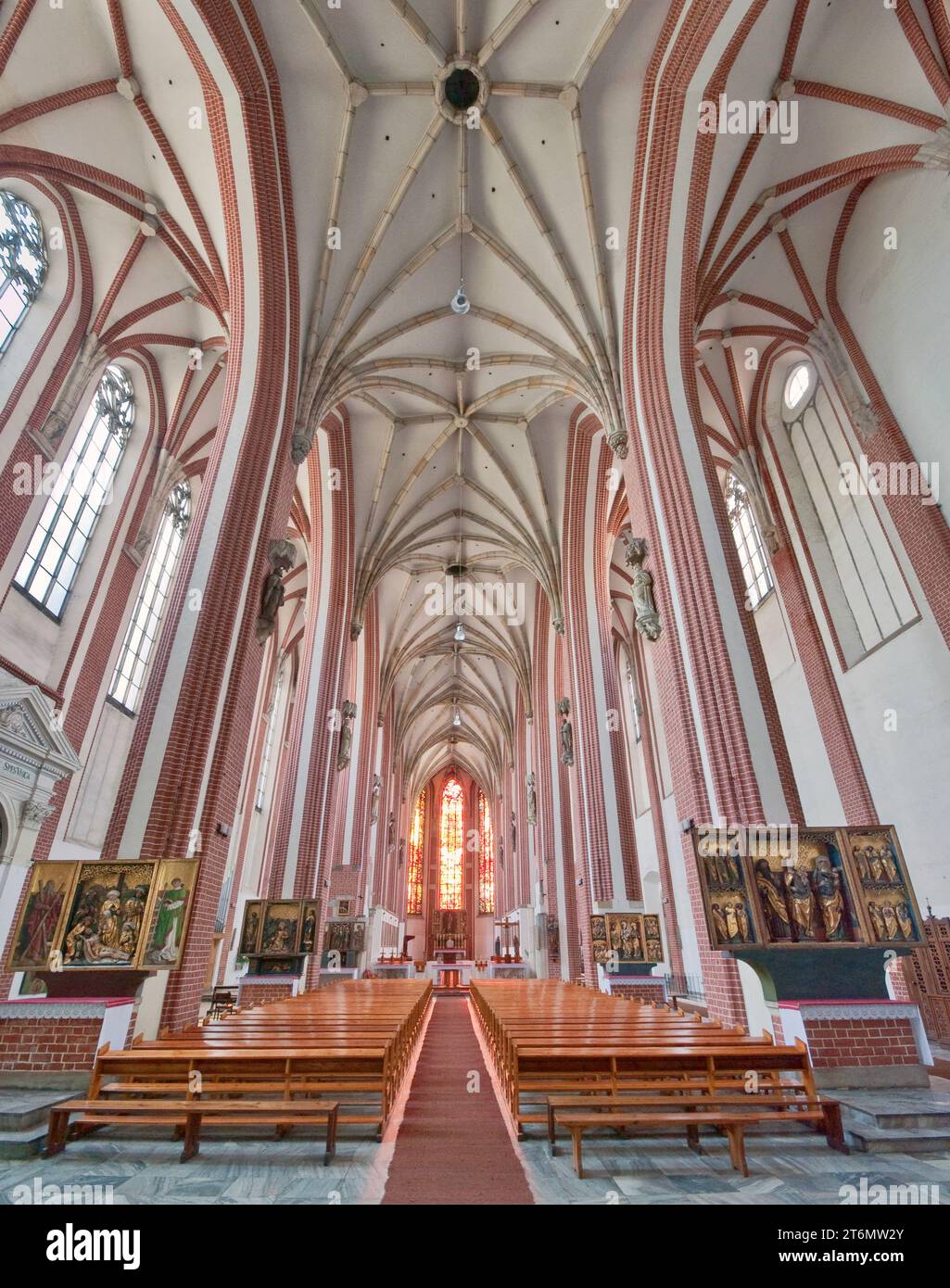 Voûte côtelée gothique, nef à St Mary sur l'église de sable sur l'île de Piasek dans la vieille ville de Wrocław, Basse-Silésie, Pologne Banque D'Images