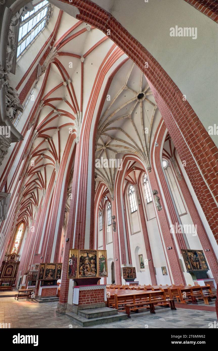 Voûte côtelée gothique, nef à St Mary sur l'église de sable sur l'île de Piasek dans la vieille ville de Wrocław, Basse-Silésie, Pologne Banque D'Images