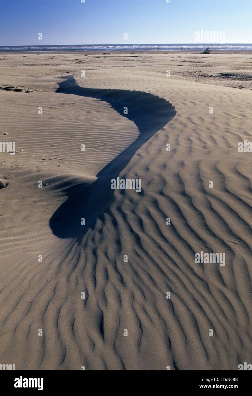 Plage des dunes, Pacific Beach State Park, Washington Banque D'Images