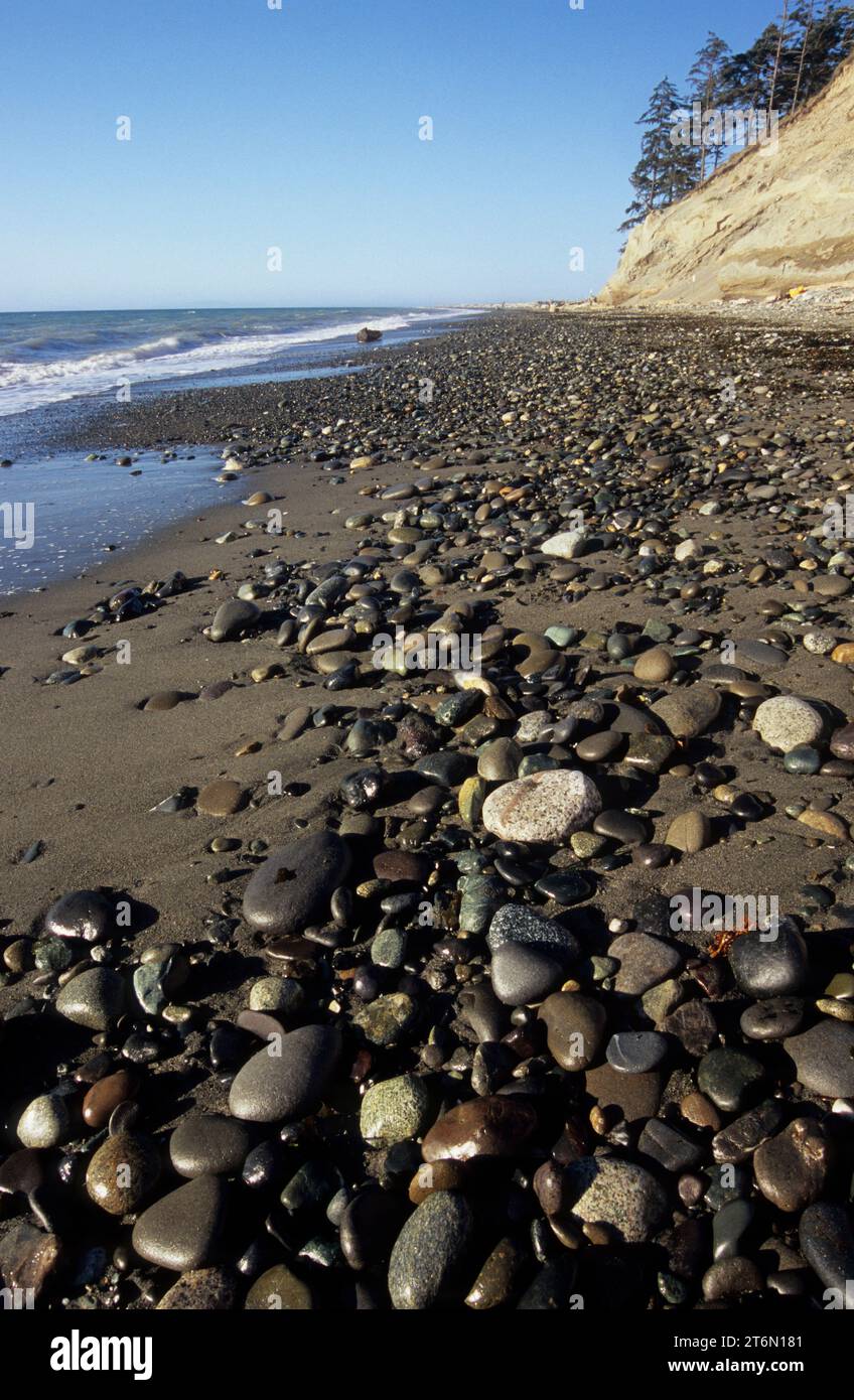 Plage de galets, Dungeness National Wildlife refuge, Washington Banque D'Images