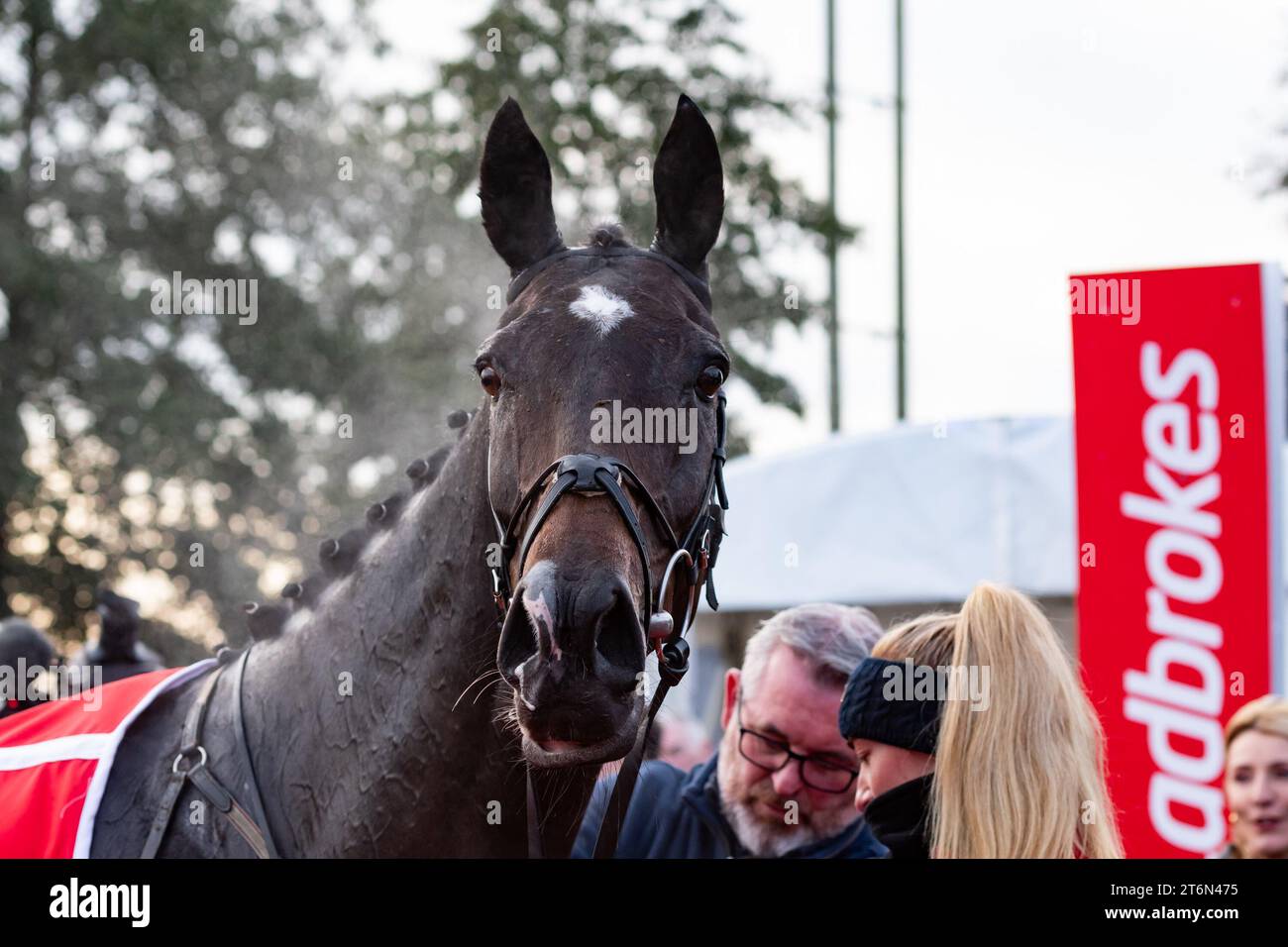 Down Royal , Royaume-Uni , samedi 11 novembre 2023. Gerri Colombe et Jack Kennedy remportent la Chase du champion Ladbrokes pour l'entraîneur Gordon Elliott et le propriétaire Robcour. Crédit JTW Equine Images / Alamy Live News Banque D'Images