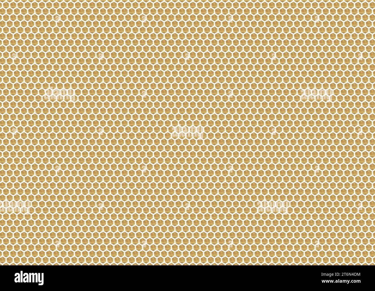 Une représentation abstraite d'un nid d'abeille avec un motif hexagonal frappant, des cloisons blanches, et des cellules de couleur miel, chacune contenant un liquide doux Banque D'Images