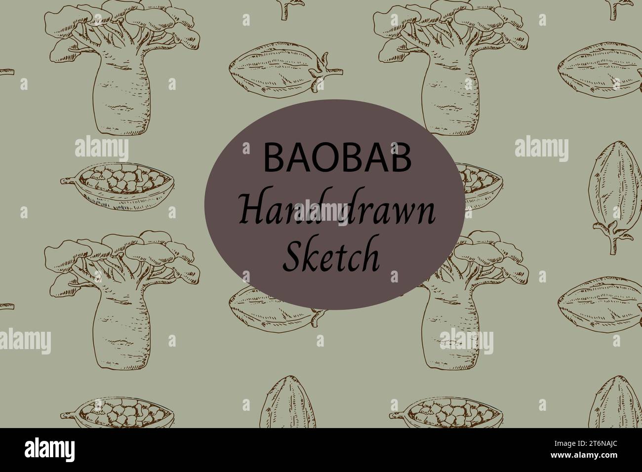 haricot de baobab - toile de fond sans couture dessinée à la main Illustration de Vecteur