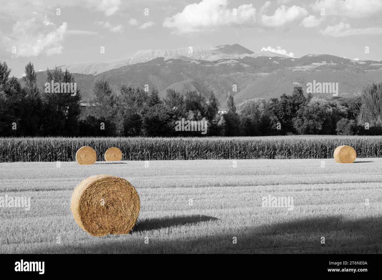 Rouleaux de paille dans un champ avec la montagne Terminillo en arrière-plan, Italie Banque D'Images