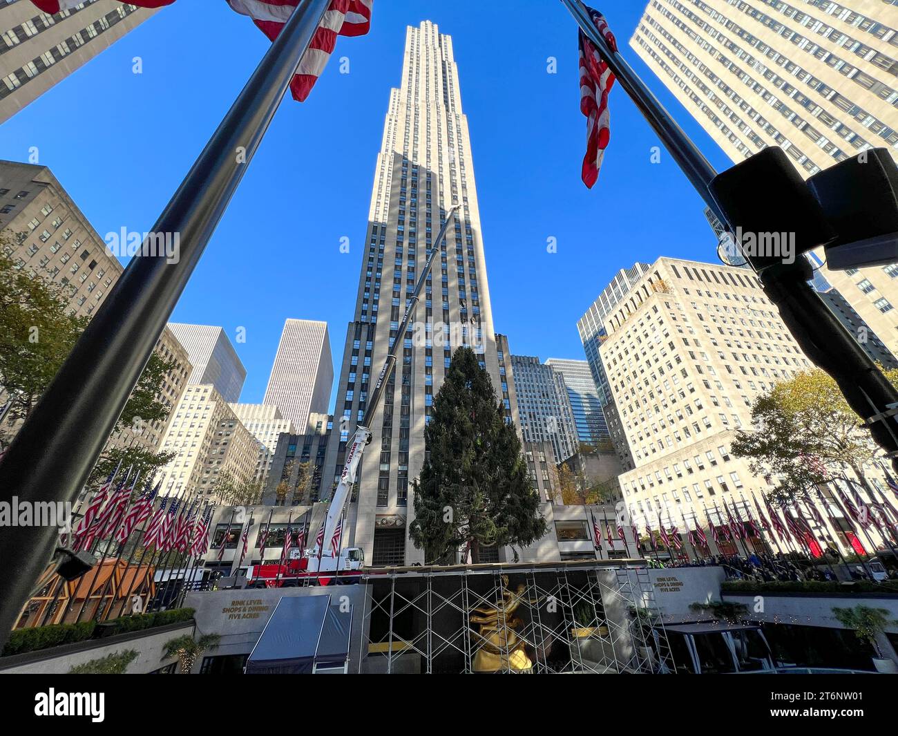 New York, États-Unis. 11 novembre 2023. Le sapin de Noël du Rockefeller Center arrive (aujourd'hui) sur la Plaza à Mid-Manhattan, New York City. Crédit : Ryan Rahman/Alamy Live News Banque D'Images