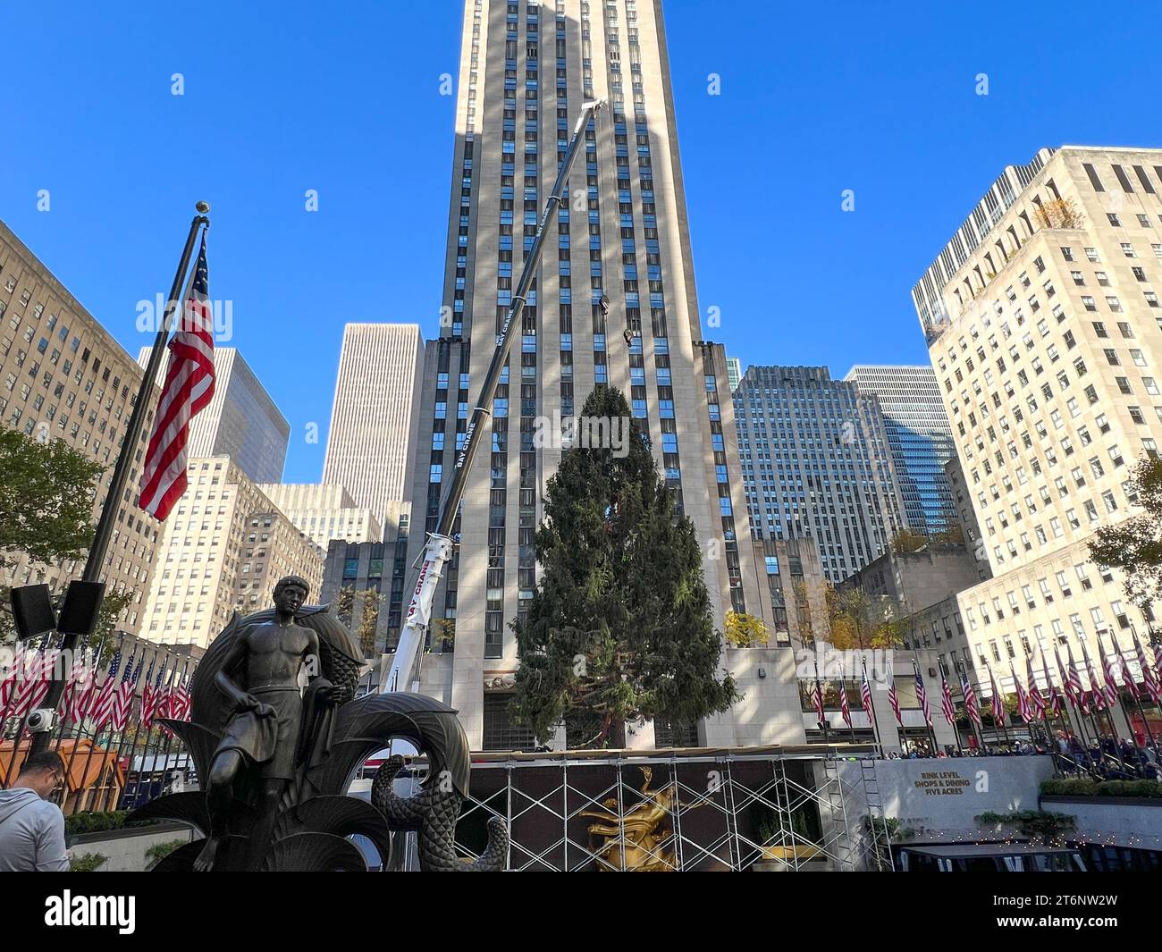 New York, États-Unis. 11 novembre 2023. Le sapin de Noël du Rockefeller Center arrive (aujourd'hui) sur la Plaza à Mid-Manhattan, New York City. Crédit : Ryan Rahman/Alamy Live News Banque D'Images