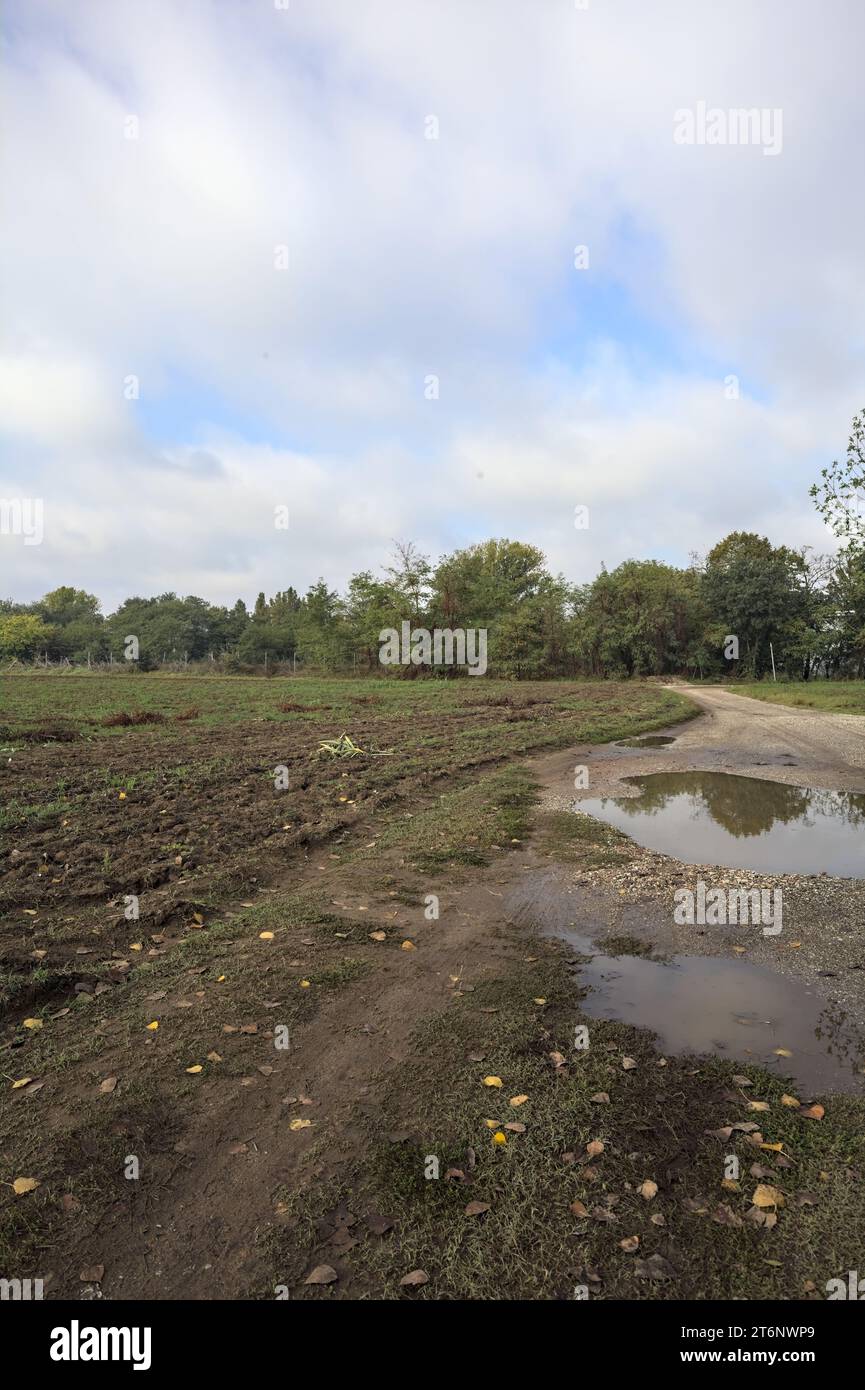 Chemin de terre avec des flaques d'eau à côté d'un champ sur une journée nuageuse dans la campagne italienne Banque D'Images