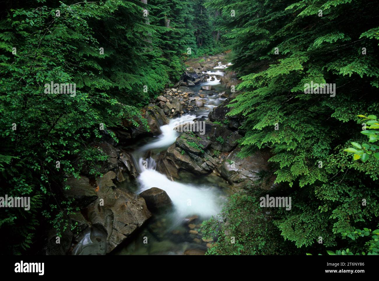 South Fork Snoqualmie River, Mt Baker-Snoqualmie National Forest, Washington Banque D'Images