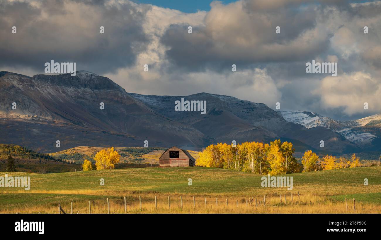 Une grange de ferme et couleur de feuillage d'automne près de Mountain View, Alberta, Canada. Banque D'Images
